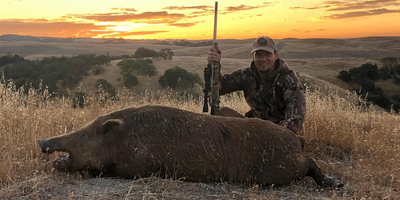 Solo Wild Boar Hunting Trip