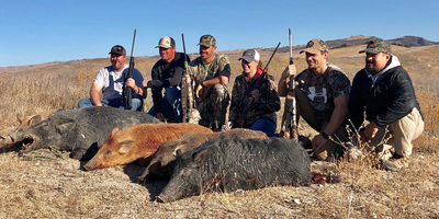 Group Wild Boar Hunting Trip 