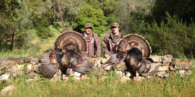 Group Turkey Hunting Trip 