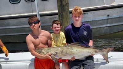 Fishing Charters in Dauphin Island | Half Day Trolling Fishing Trips