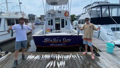 Private 4 Hour Trip- Reef OR Trolling