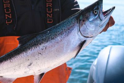 6hr Private Winter Chinook Trip – Tacoma, WA