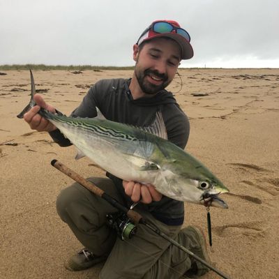 Shark, Ground fish, & Tuna in Maine