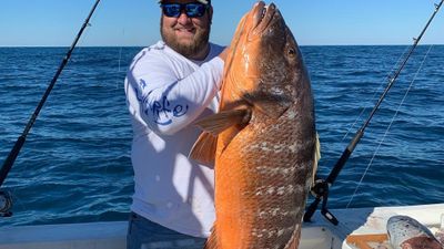 Florida, 8 Hour Offshore Fishing Trip