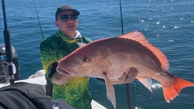 Florida, 6 hour offshore Fishing Trip