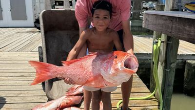 Wreck/Reef Fishing in Dauphin Island | 8 HR Private Trip