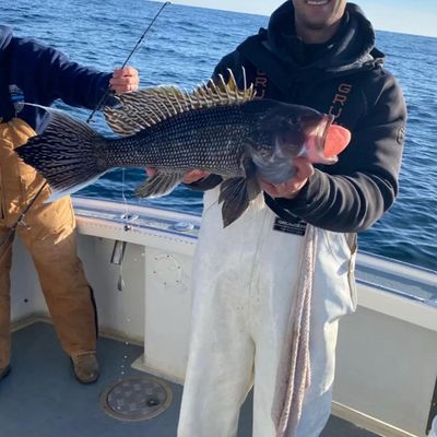 Deep Sea Fishing NJ | 10 Hour Charter Trip 