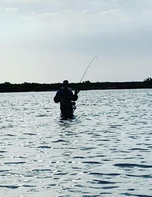 Wade Fishing w/ Artificials