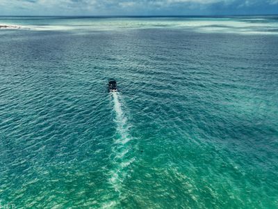 Sunset Cruise Dunedin | 2 Hour Charter Trip 