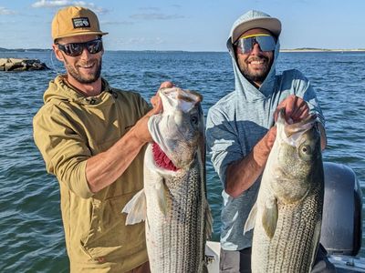 4 hour Inshore Striped Bass