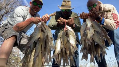 Private Wade and Bank Fishing Trips