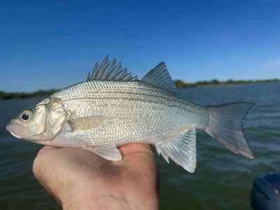 Private Full-Day Fishing Trip