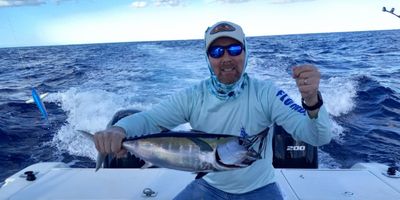 Florida Deep Sea Fishing | Private - 6 Hour Big Pelagics Trip