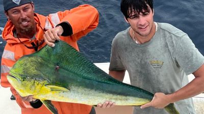 6-Hour Offshore Fishing Trip - Islamorada, Fl