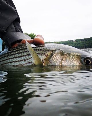 Half Day Fishing Trip in Maine