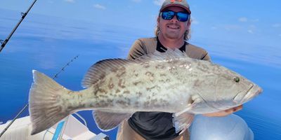 8 HR Deep Blue Snapper & Grouper Run