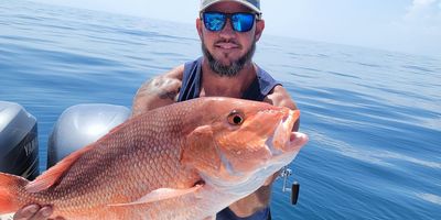 12 HR Red Snapper Trip