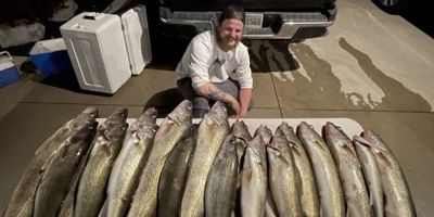 Lake Erie Walleye Fishing