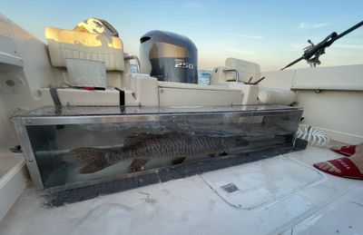 Lake Erie Evening Walleye Charter
