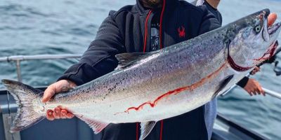 5 HR Salmon Fishing Adventure (Shared Trip)