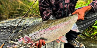 4-8 HR Rainbow Trout Fishing