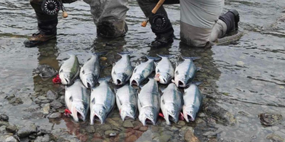 12 HR Sockeye Overnight Trip