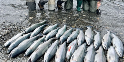 8 HR King/Sockeye Fishing Trip