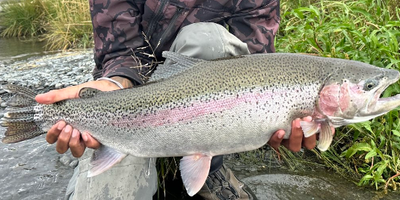 8 HR Steelhead Fishing