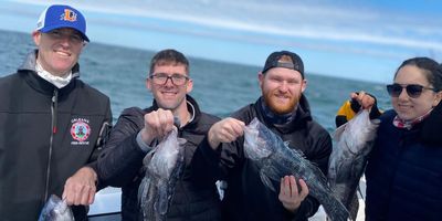 Charter Fishing Cape Cod | 4 Hours 