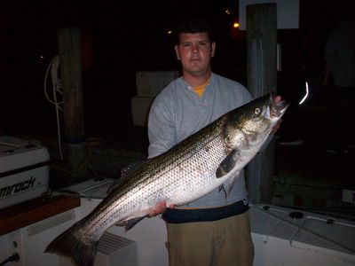 Montauk Evening/Night Trophy Bass Fishing