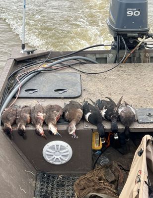 Lake Duck Hunting 