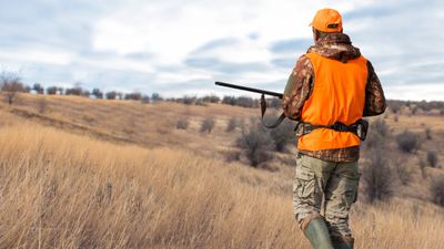 1 Day Adventure: Indiana Hunting Guide Trips