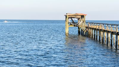 Oregon Crabbing Charters | Shared Trip