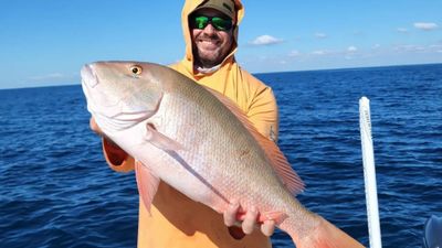 Half- Day Wrecks and Reefs Fishing - Key Largo, FL