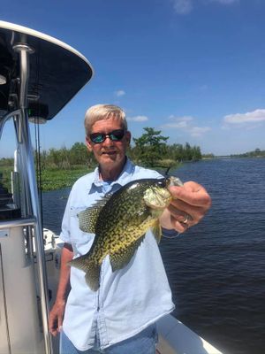 Crappie - Whole day Trip