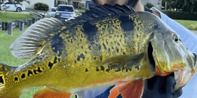 Florida Fishing Charter | Private 4 HR Trip