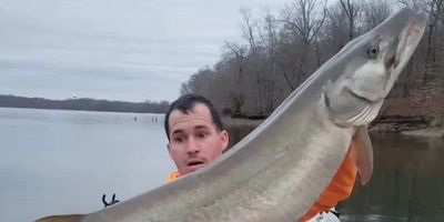 Musky Night Fishing 