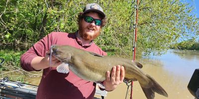 Nighttime Catfishing Experience-Channel Cat/Flathead