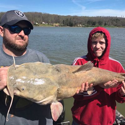 Trophy Catfish Night - Flathead