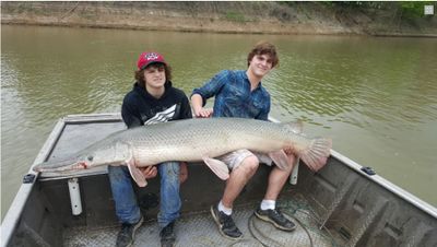 Alligator Gar Fishing