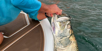 Fishing Charters St Pete | 	Half Day And Full Day Tarpon Adventures