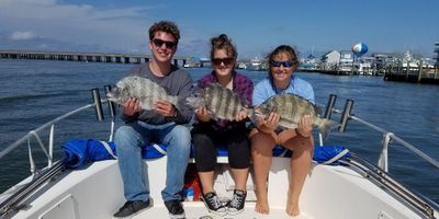 Ocean City MD Fishing Charters | Ocean Reef Wreck Fishing Trip