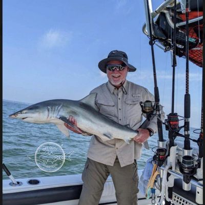 Hilton Head Island, SC 3 Hour Shark Trip (AM/PM)