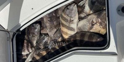 Fishing Charters Gulf Shores | Private 8 Hour Spring Sheepshead Charter (Seasonal)