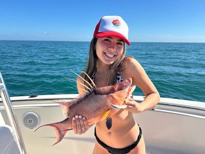 Fishing Charter in Clearwater Florida | Private - 6 Hour Trip