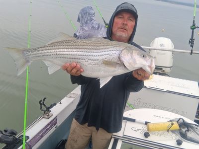 Lake Russell Trophy Striped Bass Fishing