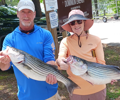 Lake Murray Striper Fishing (Afternoon Trips)