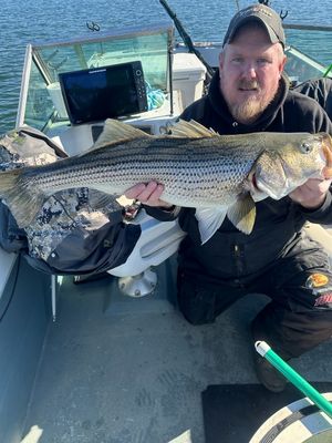 Lake Hartwell Fishing Trips