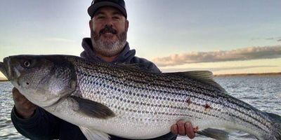 Charter Fishing in San Francisco | Bay Fishing 