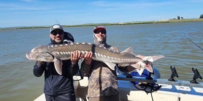 Charter Fishing San Francisco | Sturgeon Fishing